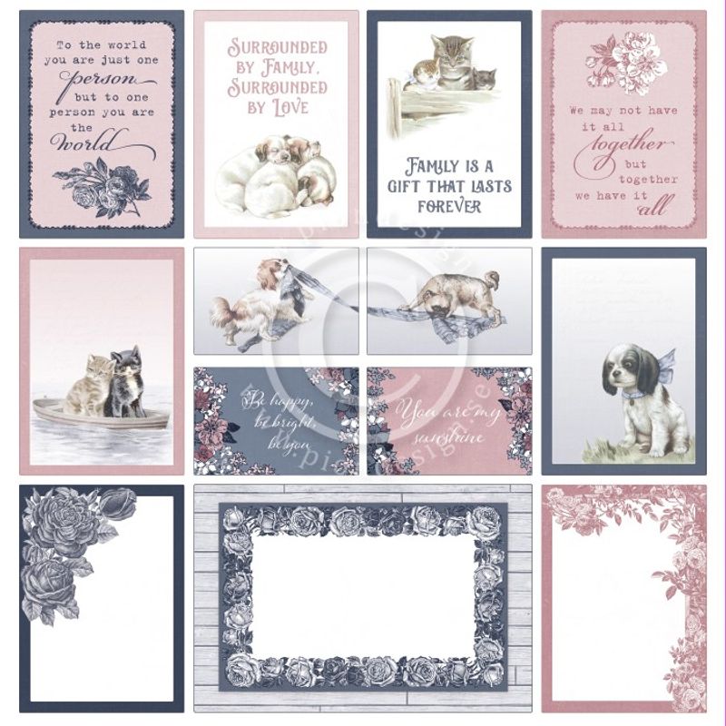 Pion Design - PD1647 - Everlasting Memories - Images from the Pa