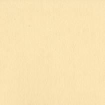 Bazzill - Smoothies - T0018 - Pigment - 305064 *Brettskade midt p&aring; arket i nedre del*