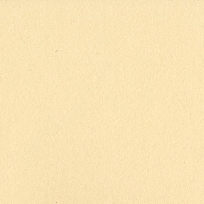 Hovedbilde Bazzill - Smoothies - T0018 - Pigment - 305064 *Brettskade midt på arket i nedre del*