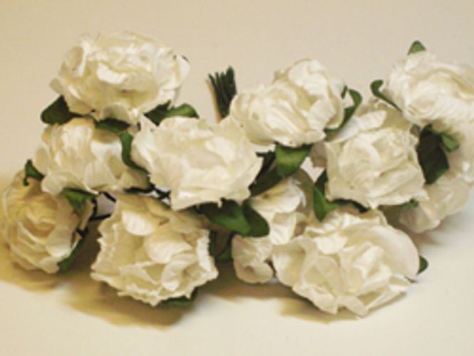 Hovedbilde Kort & Godt - Rose krøll L - Hvit - 5324