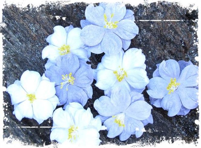 Hovedbilde Papirdesign - Asalea - Lilla