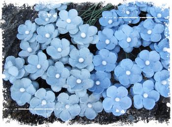 Hovedbilde Blomster og pyntebær