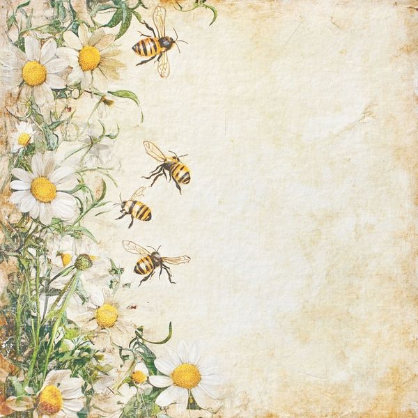 Reprint - 12x12 - RP0697 - Summer - Summer Bee's