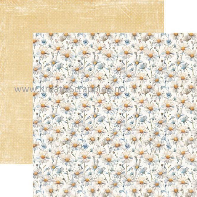 Hovedbilde Reprint - 12x12 - CRP088 - Summer - Paper Pack