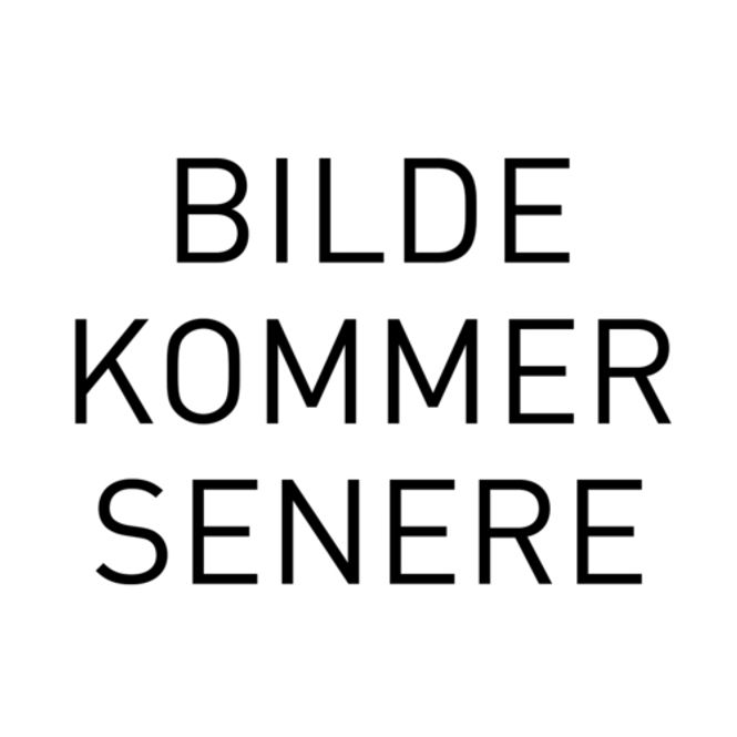 Hovedbilde Angelo - Red sable - Pensel - 410 Rund - Str  00