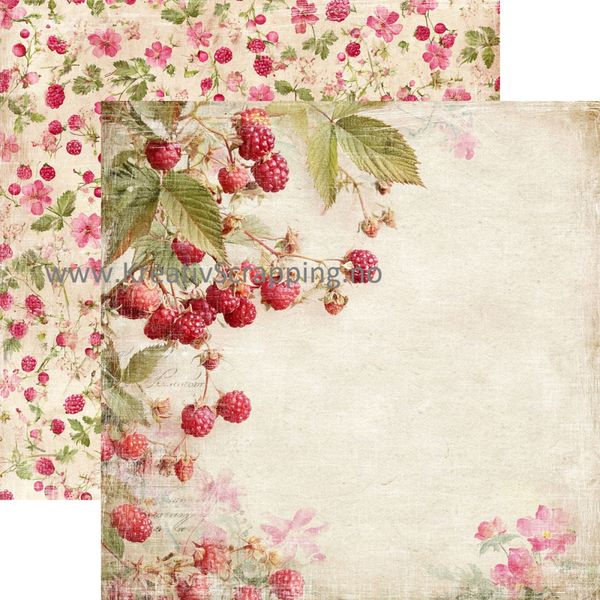 Reprint - 12x12 - CRP099 - Summer Garden - Paper Pack