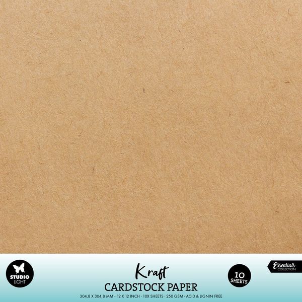 Studio Light - PS49 - Kraft Cardstock - 12x12 - 250g - 10pk